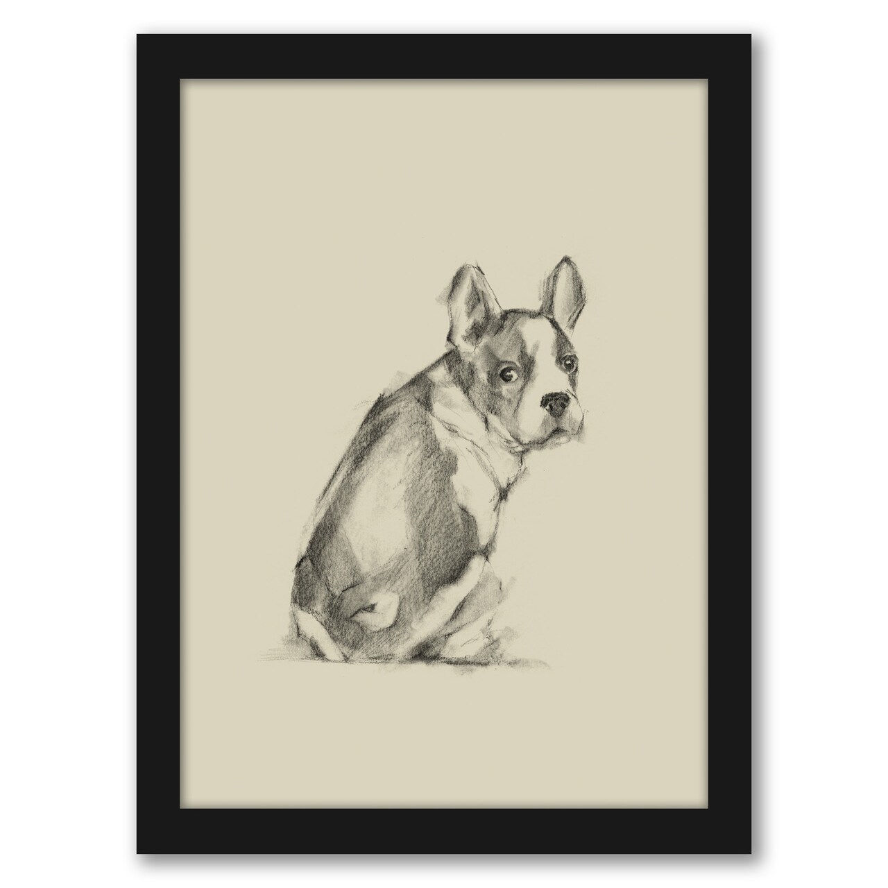 Puppy Dog Eyes Iv By Ethan Harper by World Art Group Frame  - Americanflat